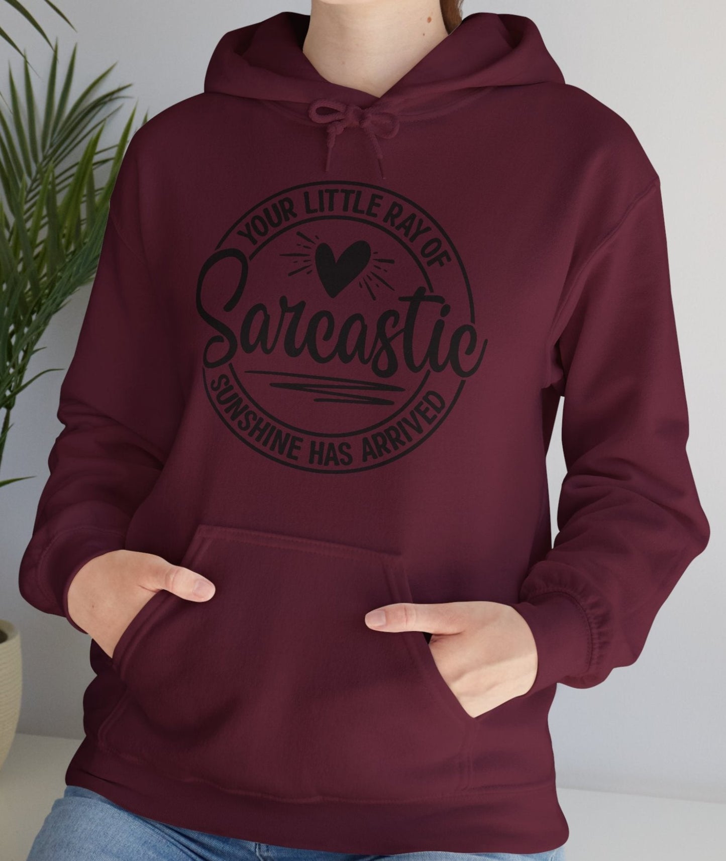 Hoodie, Funny, Hooded Sweatshirt