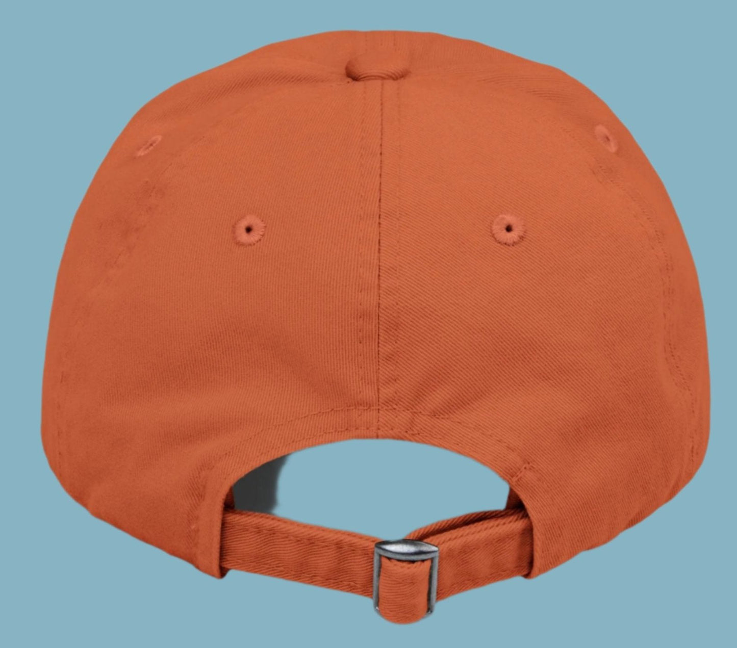 Hat, Funny, Sarcastic, Cap