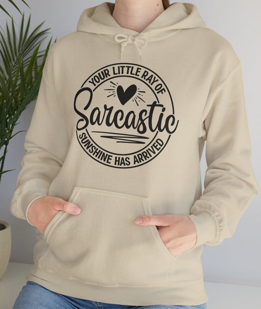 Hoodie, Funny, Hooded Sweatshirt
