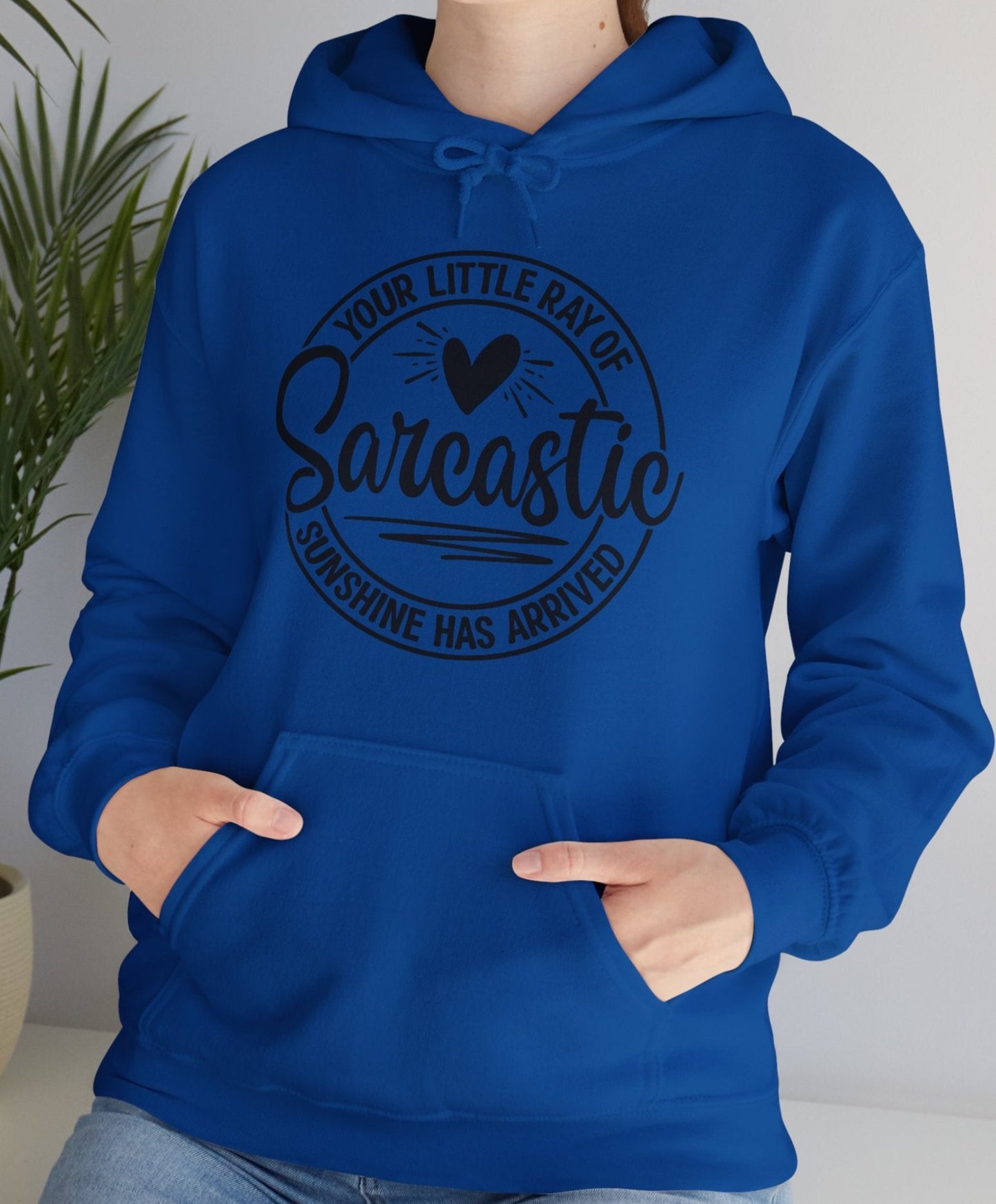 Hoodie, Funny, Hooded Sweatshirt