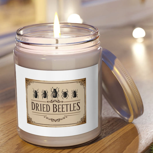 Candle, Jar, Dried Beetles, Scented, Set