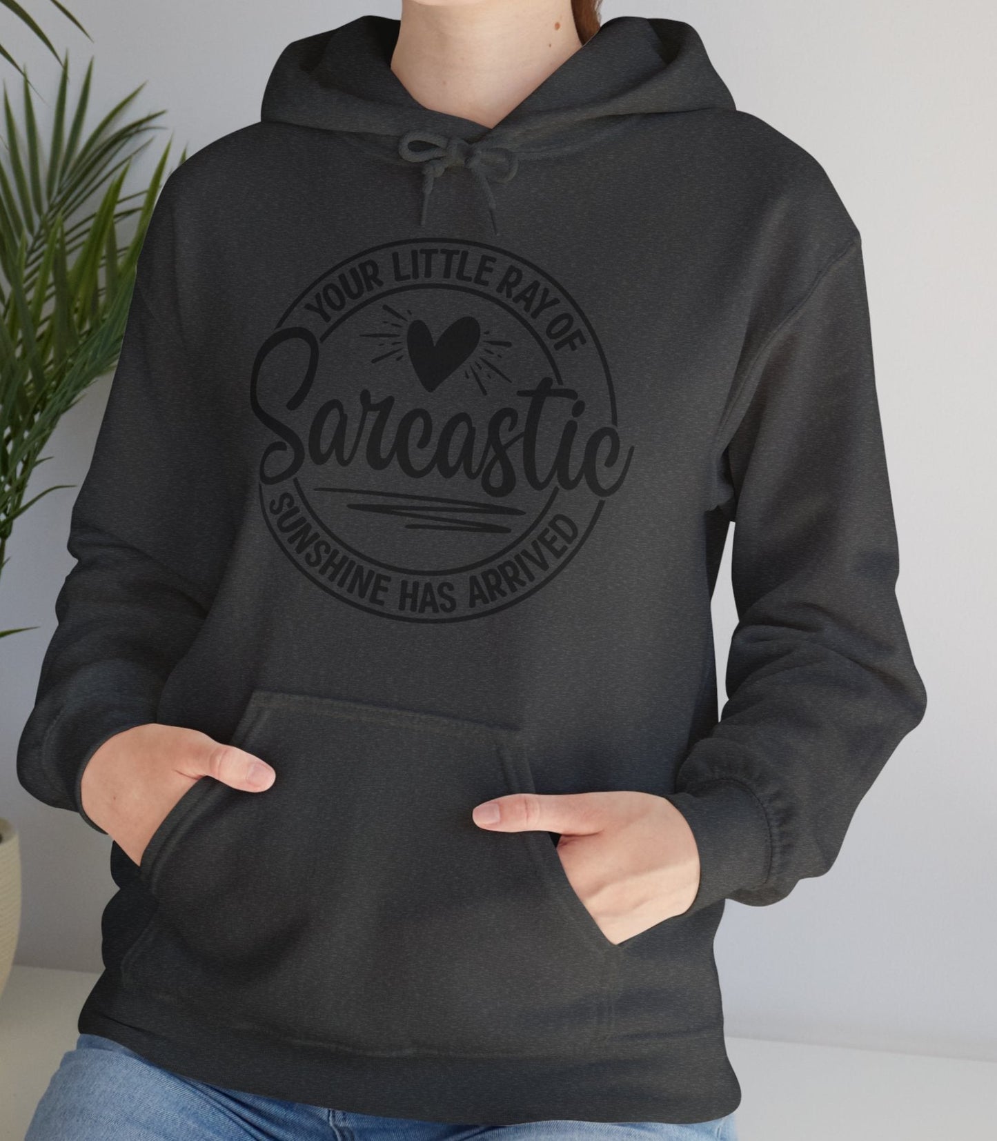 Hoodie, Funny, Hooded Sweatshirt